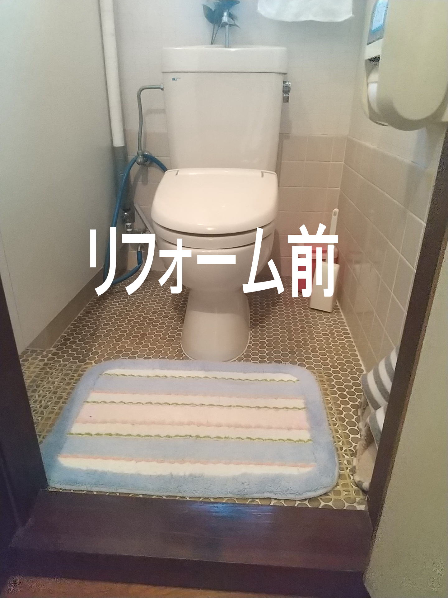 実績